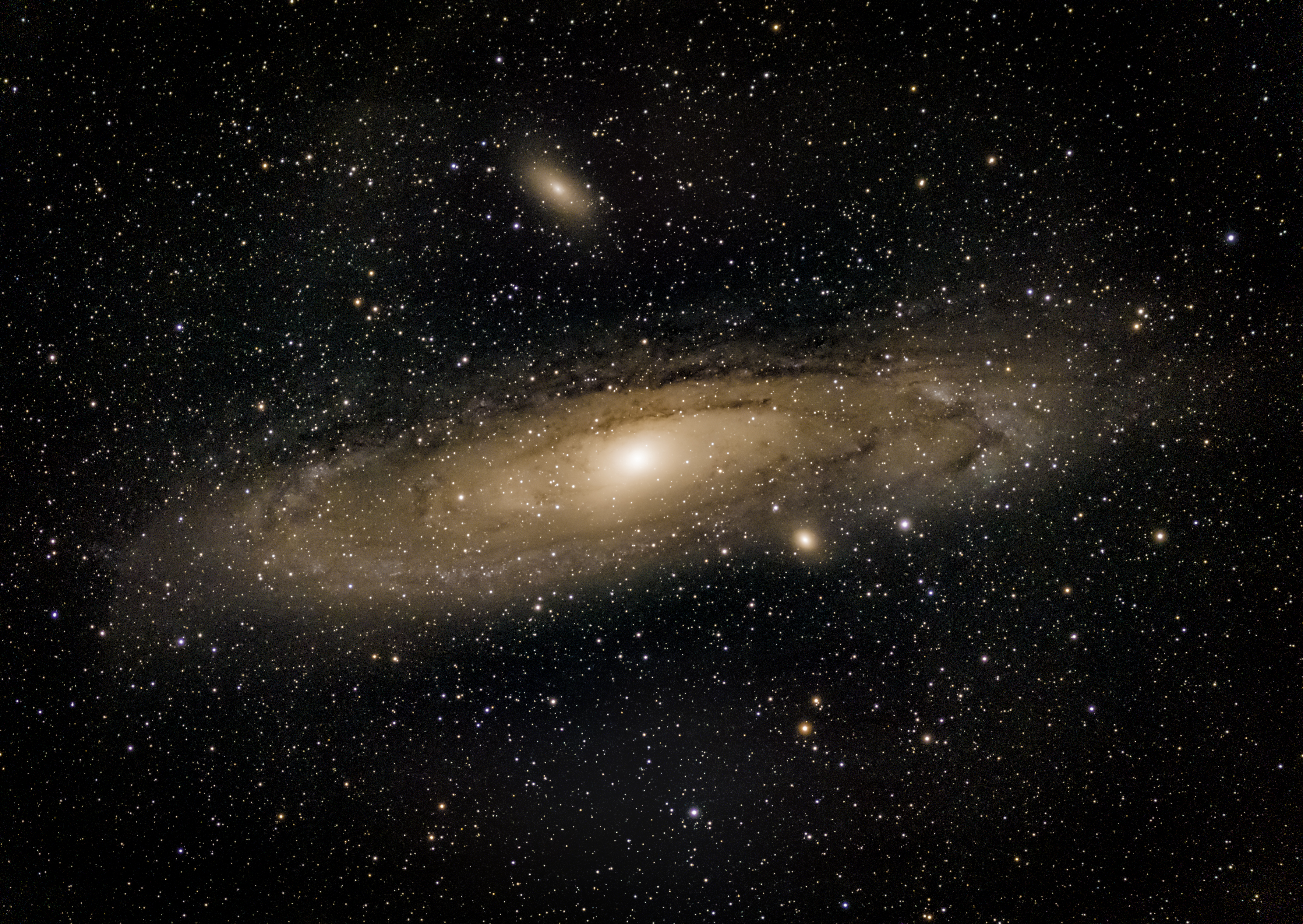 M31